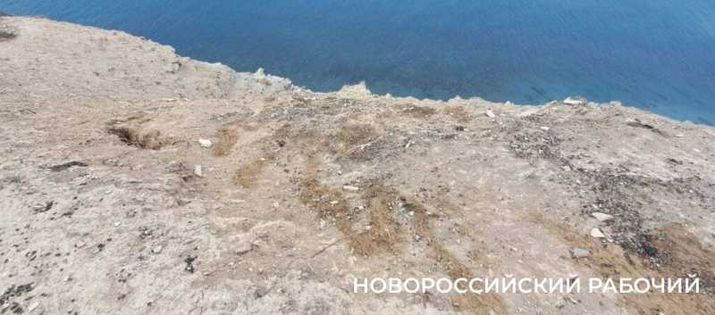 Козы съели реликтовый лес под Новороссийском
