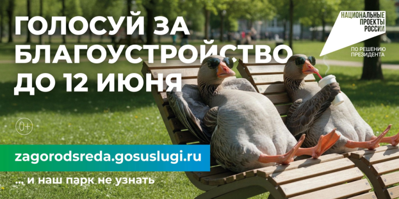 Новороссийцы, ваш голос – ключ к преображению любимого города!