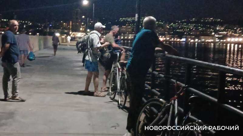 После разливов нефти в Туапсе рыба может быть токсичной и в Новороссийске
