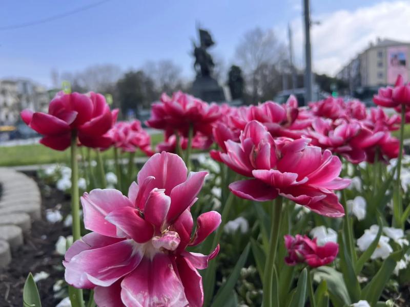 Примите поздравления с Праздником Весны и Труда!