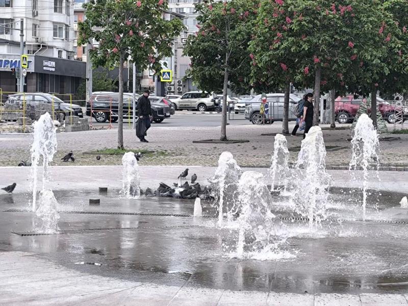 Совет дня на 19 мая: Самое здоровое и правильное питание — это питание в гостях