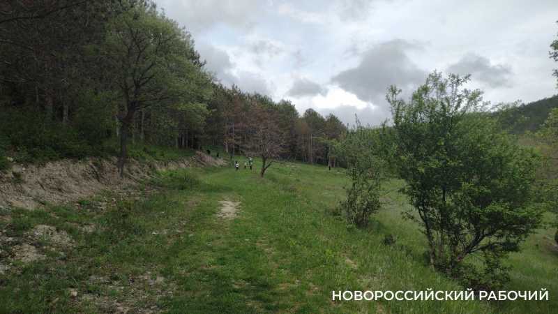 Совет дня на 29 мая: если запить шпроты молоком, то клубнику уже можно и не мыть