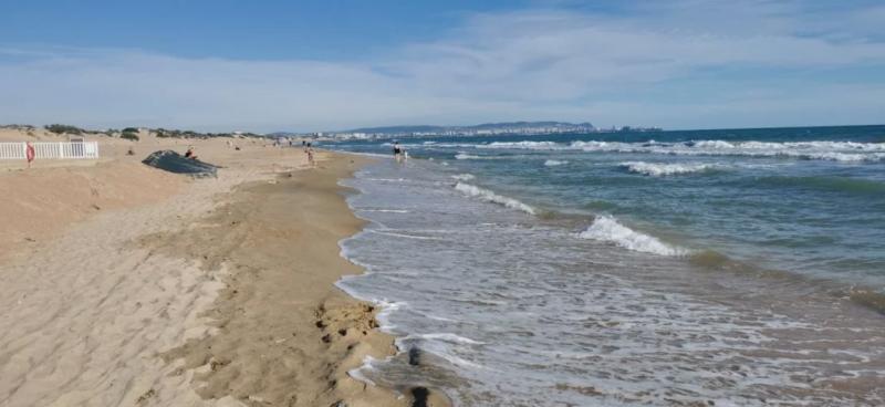 В Анапе позеленело море. Стоит ли ехать на выходные на песчаные пляжи? &nbsp;