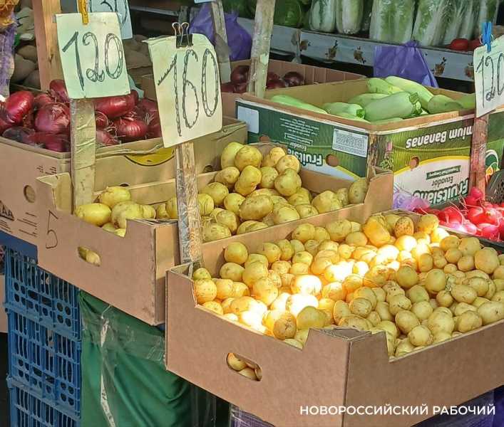 В Новороссийске кубанская молодая картошка вытеснила  импорт