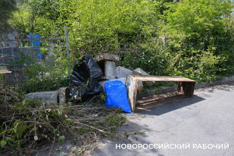 В Новороссийске оперативно убрали дерево, упавшее на могилу родителей Коккинаки