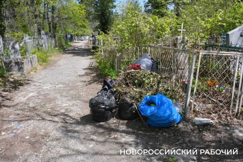В Новороссийске оперативно убрали дерево, упавшее на могилу родителей Коккинаки