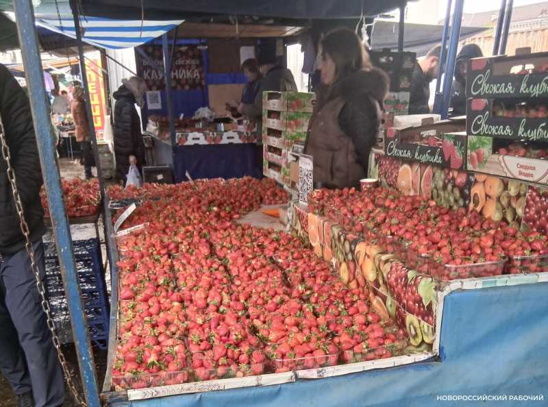 В Новороссийске подешевела кубанская клубника