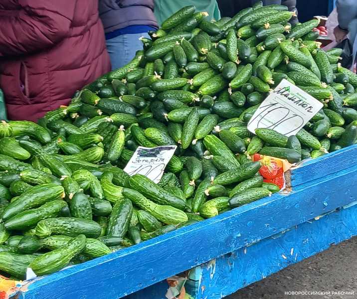В Новороссийске подешевели овощи для весеннего салата