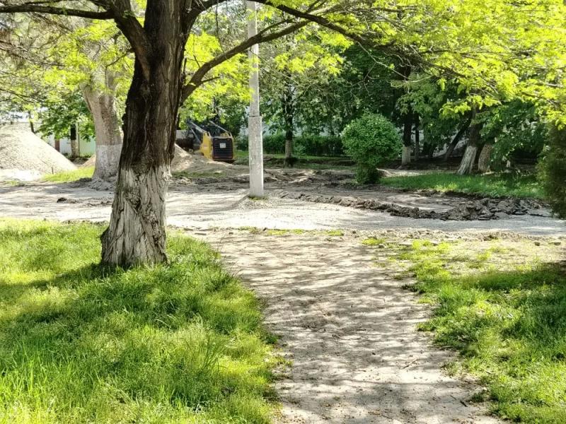 В Новороссийске при благоустройстве сквера Медиков техника деревья не трогает