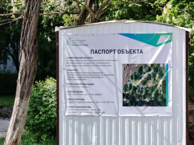В Новороссийске при благоустройстве сквера Медиков техника деревья не трогает