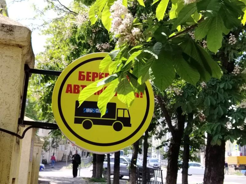 В Новороссийске радуются цветущим каштанам