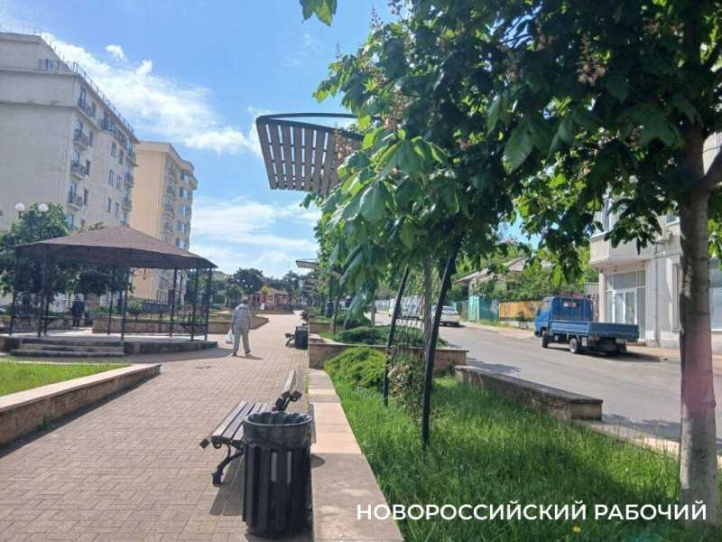 В Новороссийске радуются цветущим каштанам