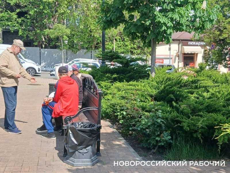 В Новороссийске радуются цветущим каштанам