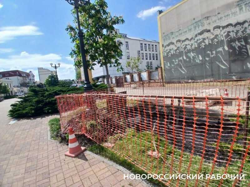 В Новороссийске радуются цветущим каштанам