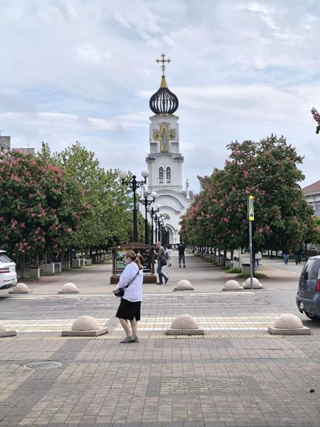 В Новороссийске розовые каштаны превратили городские бульвары в фотозоны