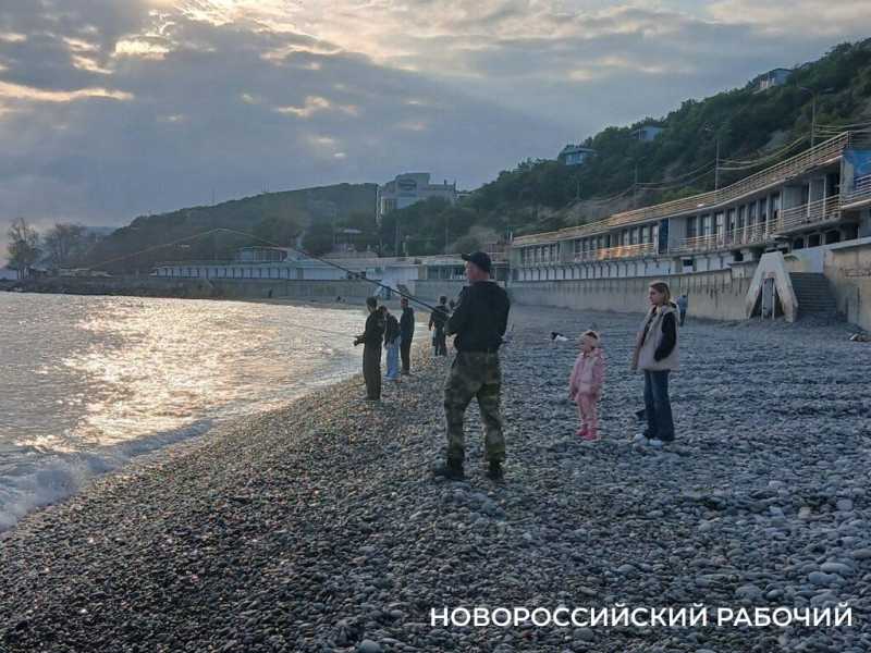 В Новороссийске сбылась рыбацкая примета: зацвела акация – пошла ставрида!