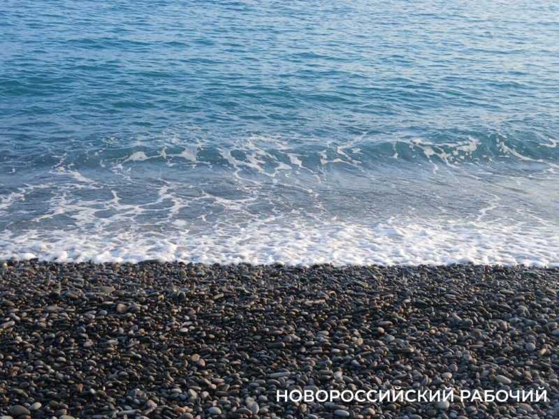 В Новороссийске сбылась рыбацкая примета: зацвела акация – пошла ставрида!