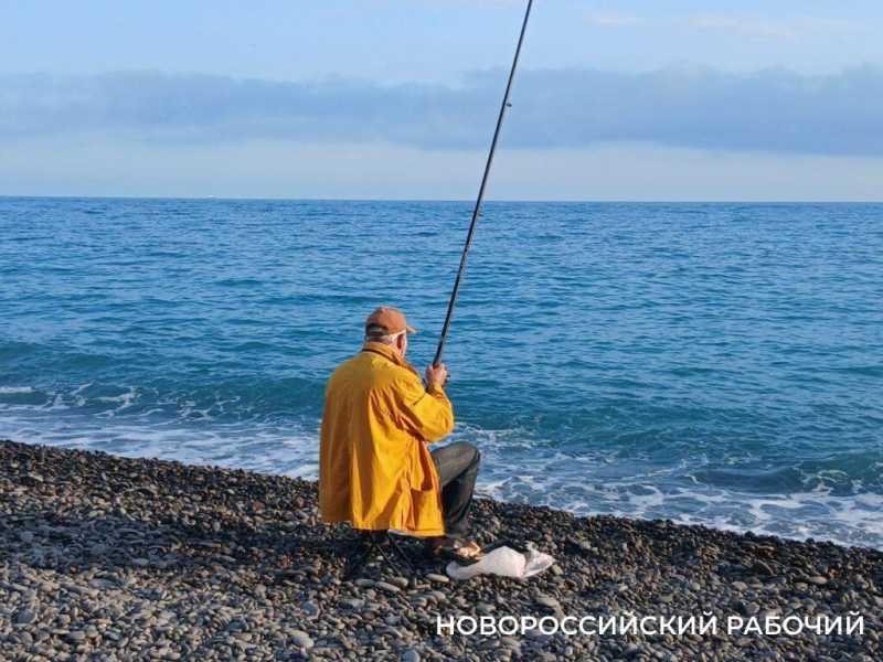 В Новороссийске сбылась рыбацкая примета: зацвела акация – пошла ставрида!