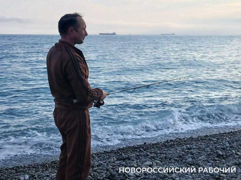 В Новороссийске сбылась рыбацкая примета: зацвела акация – пошла ставрида!