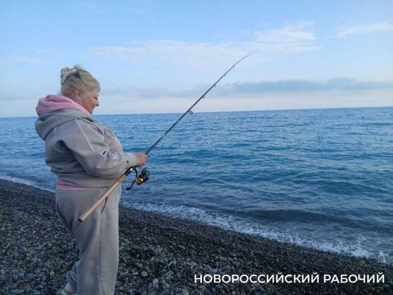 В Новороссийске сбылась рыбацкая примета: зацвела акация – пошла ставрида!