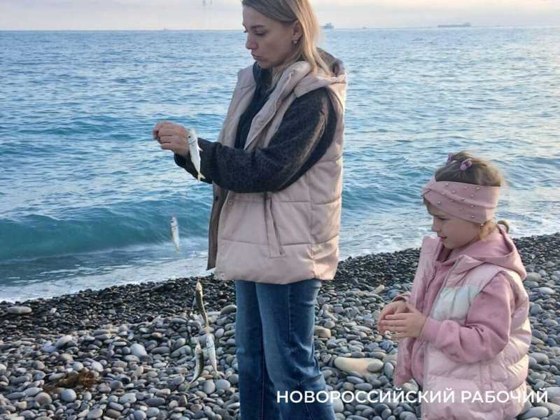 В Новороссийске сбылась рыбацкая примета: зацвела акация – пошла ставрида!