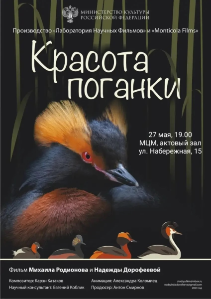 В Новороссийске состоится показ уникального документального фильма &laquo;Красота поганки&raquo;