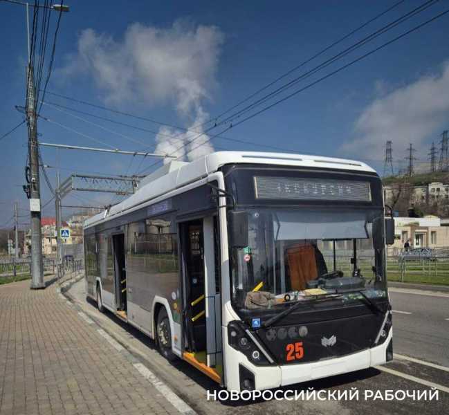 В Новороссийске водителей приглашают на работу с зарплатой 65 000 и отпуском в 42 дня
