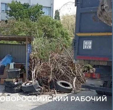 В Новороссийске вывезли веточный завал после обращения &laquo;Новороссийского рабочего&raquo;