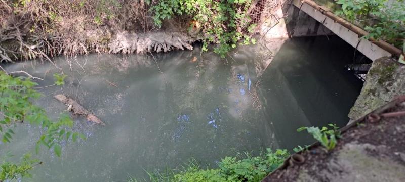 В Новороссийске жители следят за качеством воды, которая идет в море после очистных