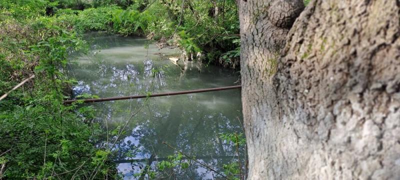 В Новороссийске жители следят за качеством воды, которая идет в море после очистных