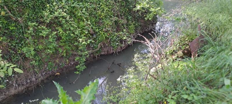 В Новороссийске жители следят за качеством воды, которая идет в море после очистных