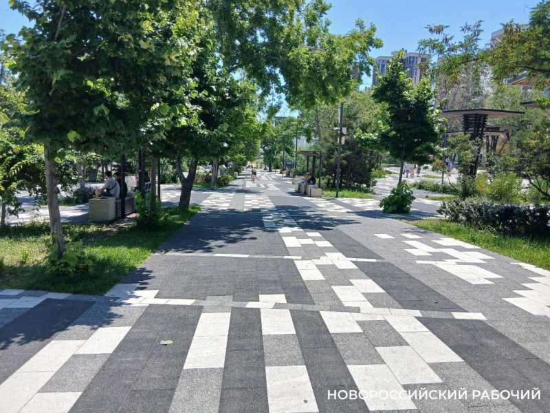 В парке Новороссийска высадили туи. Неуютно будет лаванде и горным соснам