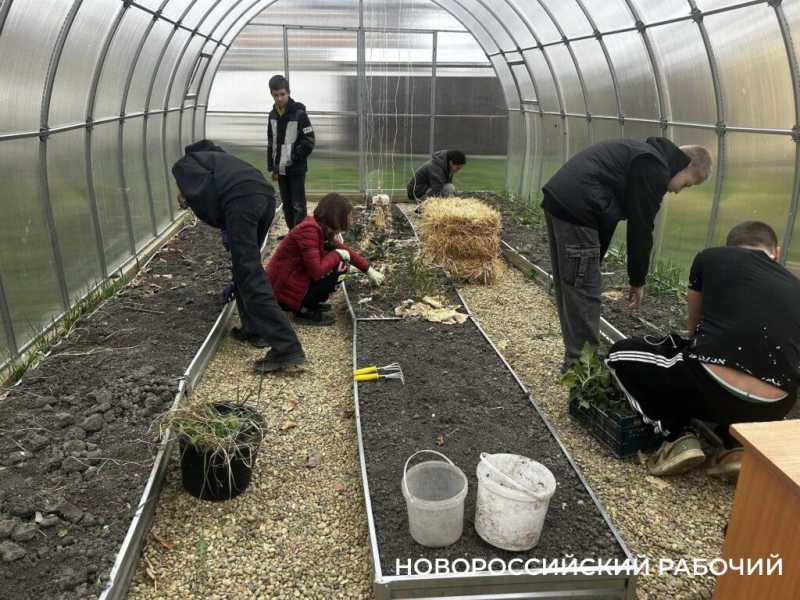 В станице под Новороссийском школьники устраивают ярмарку рассады