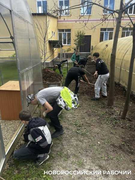 В станице под Новороссийском школьники устраивают ярмарку рассады