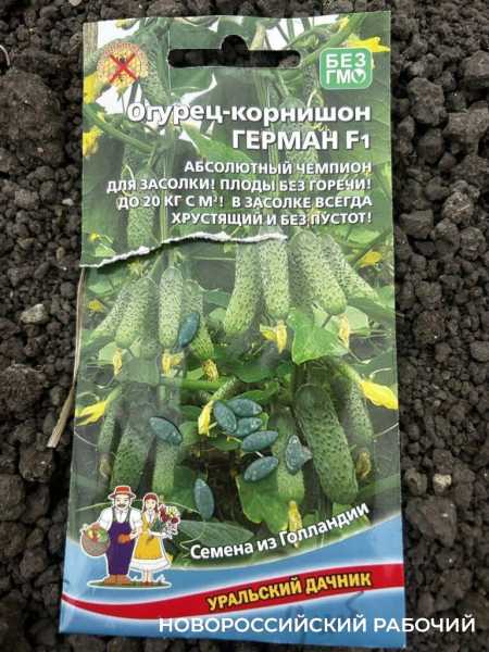 В станице под Новороссийском школьники устраивают ярмарку рассады