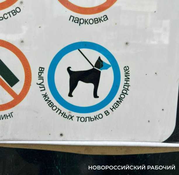Житель Новороссийска учит собаку охотиться в ООПТ &laquo;Прилагунье&raquo;