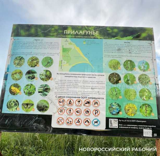 Житель Новороссийска учит собаку охотиться в ООПТ &laquo;Прилагунье&raquo;