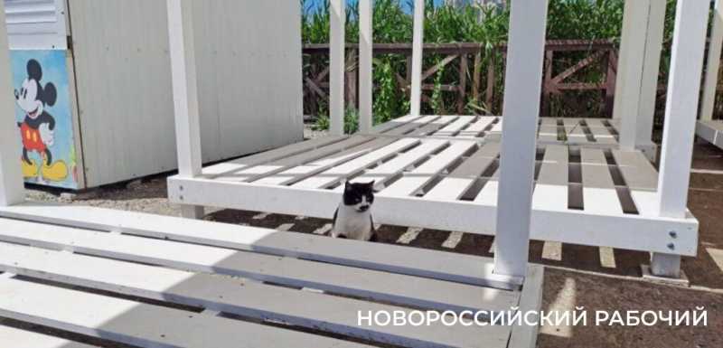 15 июня в Новороссийске перекроют свободный въезд на пляж