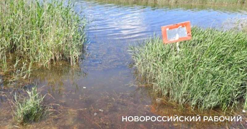 15 июня в Новороссийске перекроют свободный въезд на пляж