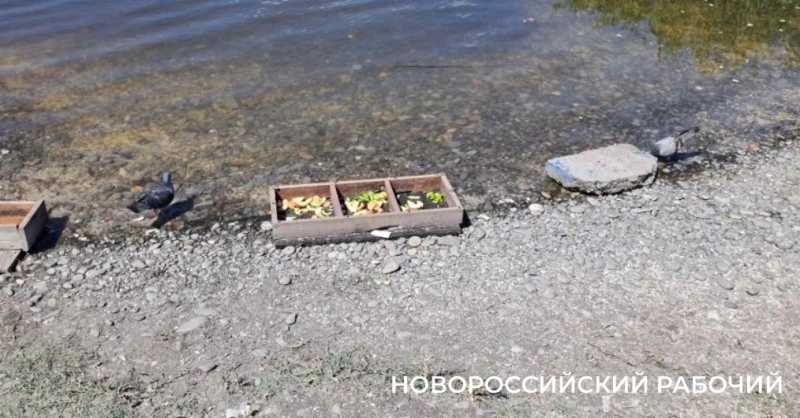 15 июня в Новороссийске перекроют свободный въезд на пляж