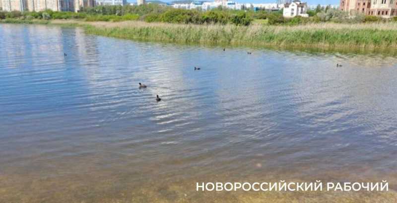15 июня в Новороссийске перекроют свободный въезд на пляж