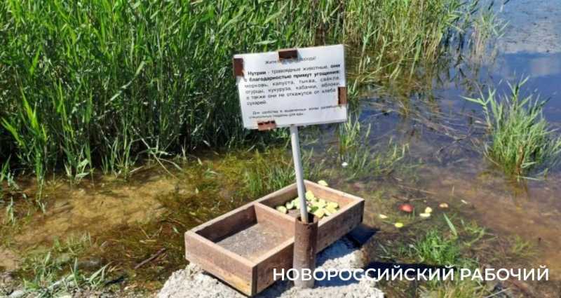 15 июня в Новороссийске перекроют свободный въезд на пляж