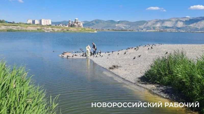 15 июня в Новороссийске перекроют свободный въезд на пляж