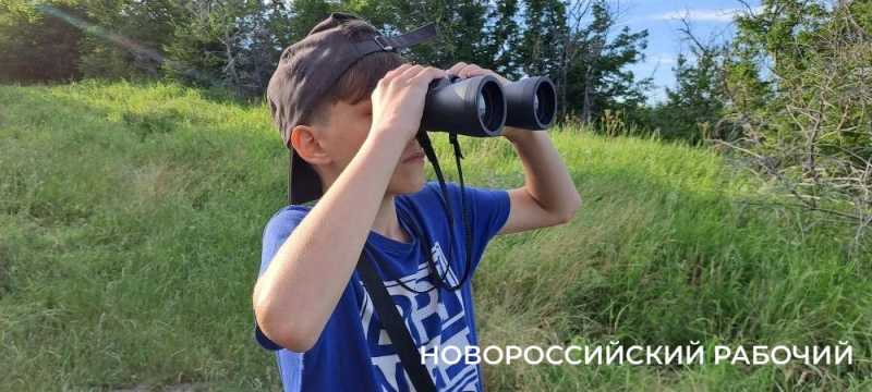 Дерево-медведь, молодильные родники, поляна наяд и каньоны. Куда пойти на выходные в Новороссийске