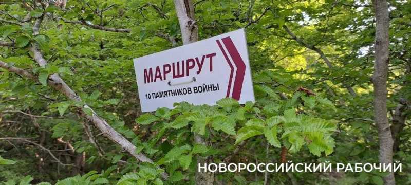 Дерево-медведь, молодильные родники, поляна наяд и каньоны. Куда пойти на выходные в Новороссийске