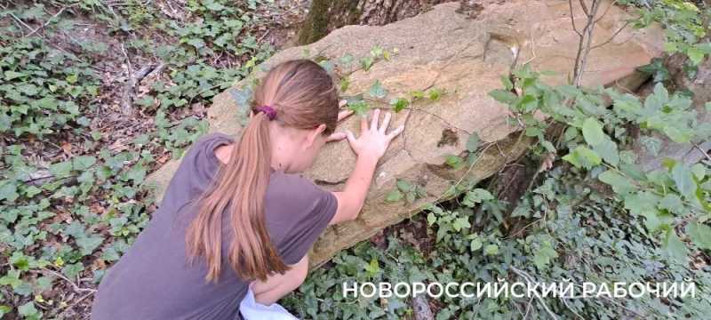 Дерево-медведь, молодильные родники, поляна наяд и каньоны. Куда пойти на выходные в Новороссийске