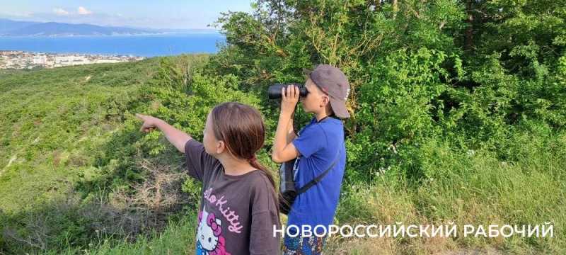 Дерево-медведь, молодильные родники, поляна наяд и каньоны. Куда пойти на выходные в Новороссийске