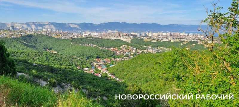 Дерево-медведь, молодильные родники, поляна наяд и каньоны. Куда пойти на выходные в Новороссийске