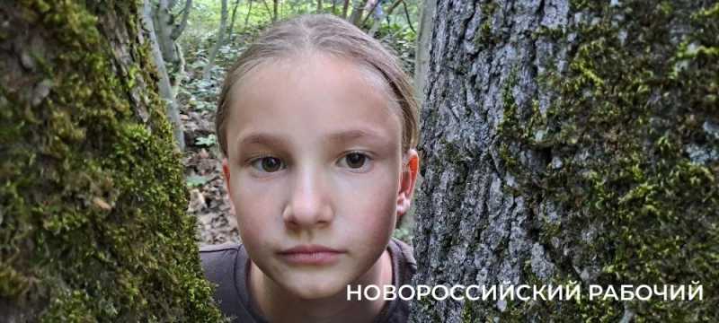 Дерево-медведь, молодильные родники, поляна наяд и каньоны. Куда пойти на выходные в Новороссийске