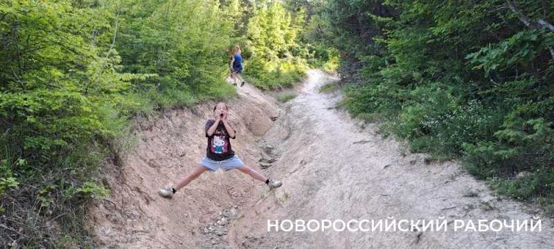 Дерево-медведь, молодильные родники, поляна наяд и каньоны. Куда пойти на выходные в Новороссийске